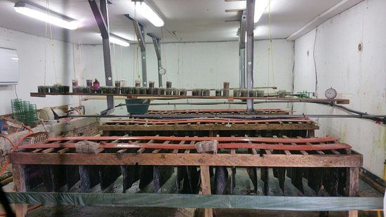 La Ferme aux Escargots