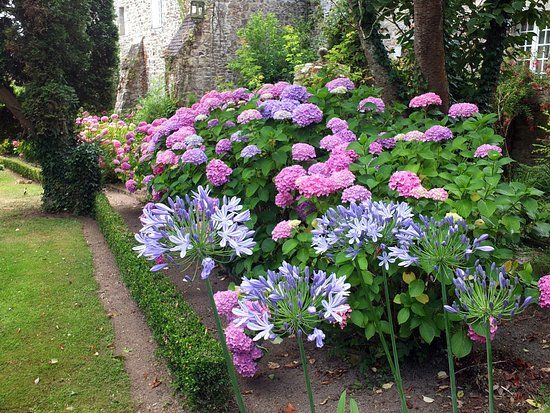 Jardins et Manoir de Saussey
