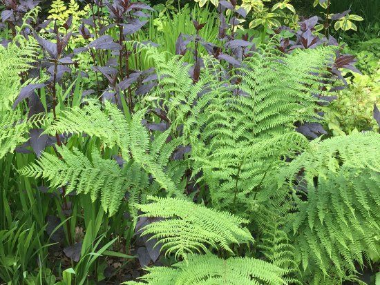 Jardin Le Vasterival