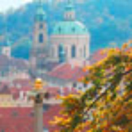 Brasserie Le Neptune