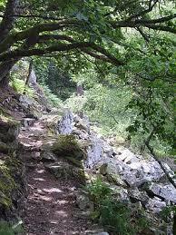 Parc Naturel Régional Normandie-Maine