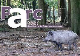 Parc Animalier de la Forêt de Roumare