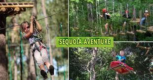 Sequoia Aventure