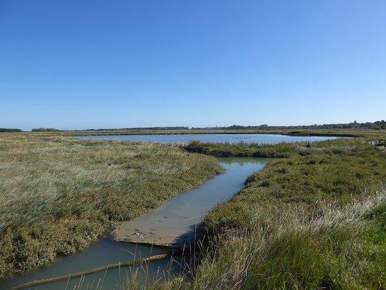 Maison de la Nature Et de L'estuaire de L'orne