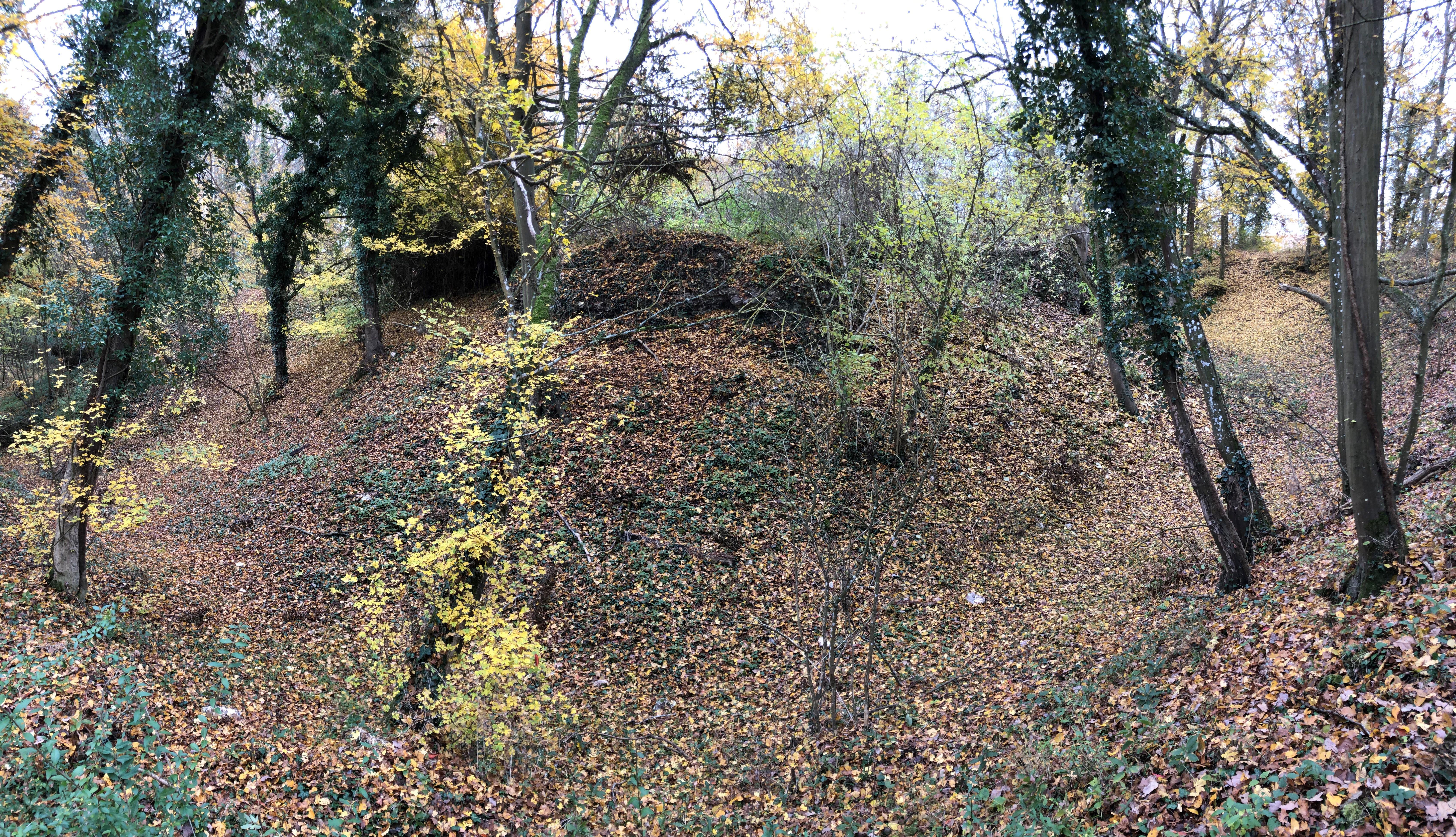 motte médiévale du Plessis-Saint-Rémy