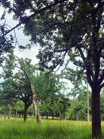 Domaine de la Pommeraie