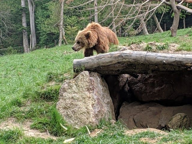 Parc Animalier Cerza