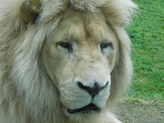 Parc Zoologique de Jurques