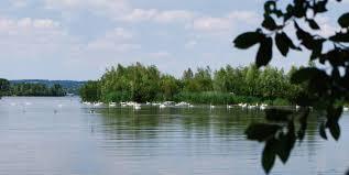 Réserve ornithologique de la Grande Noé